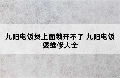 九阳电饭煲上面锁开不了 九阳电饭煲维修大全